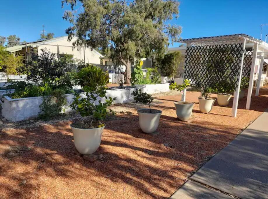 Lavender Cottage - At Home In Lightning Ridge Exteriör bild