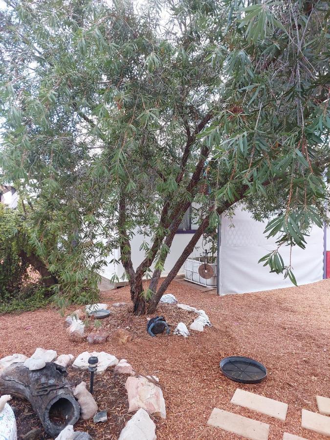 Lavender Cottage - At Home In Lightning Ridge Exteriör bild